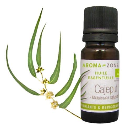 Huile Essentielle de Cajeput BIO, Revigorante &amp; Purifiante, 10ml